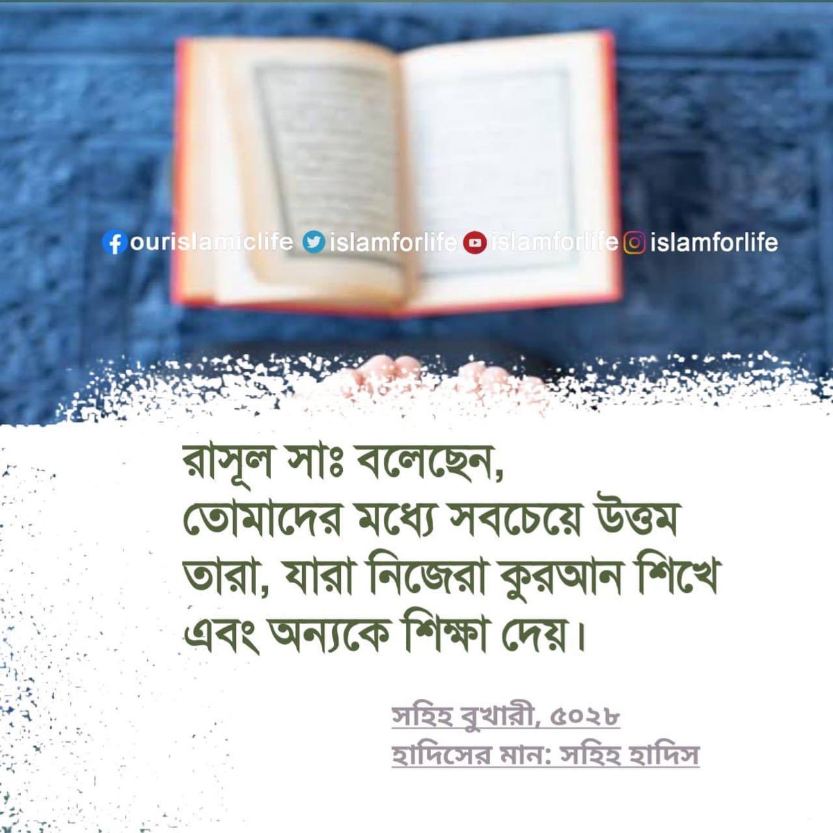 . tweet media