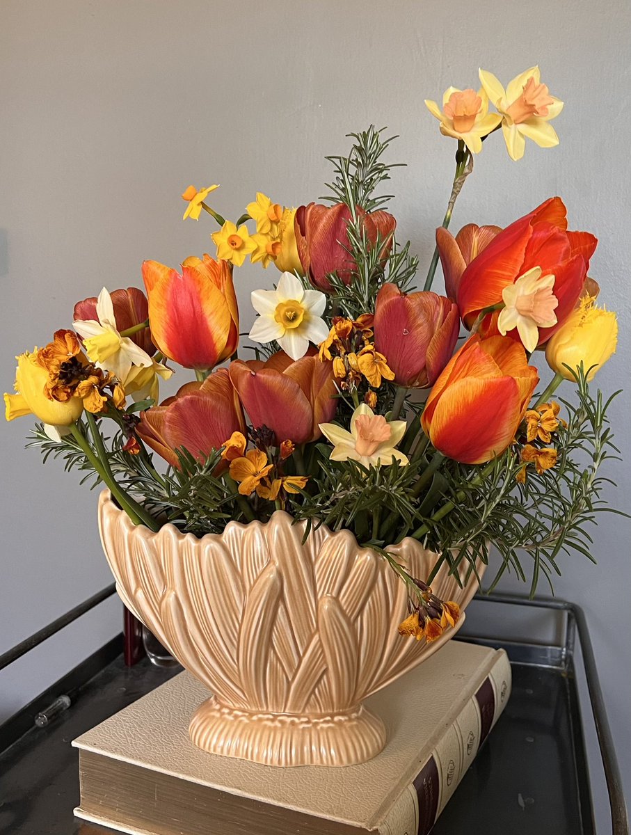 First homegrown tulips of 2023. 
#britishflowers #grownnotflown #hurrahforspring #homegrownflowers