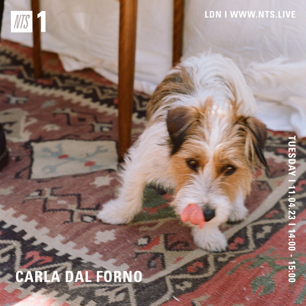 Dub for dogs on today's @NTSlive show