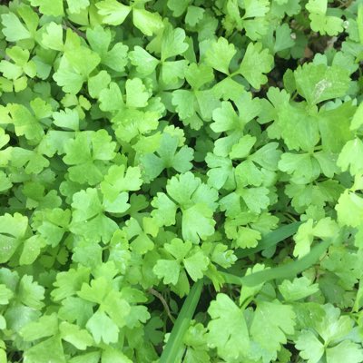 Green_plus29's tweet photo. #NewProfilePic https://t.co/U7ur39psXL