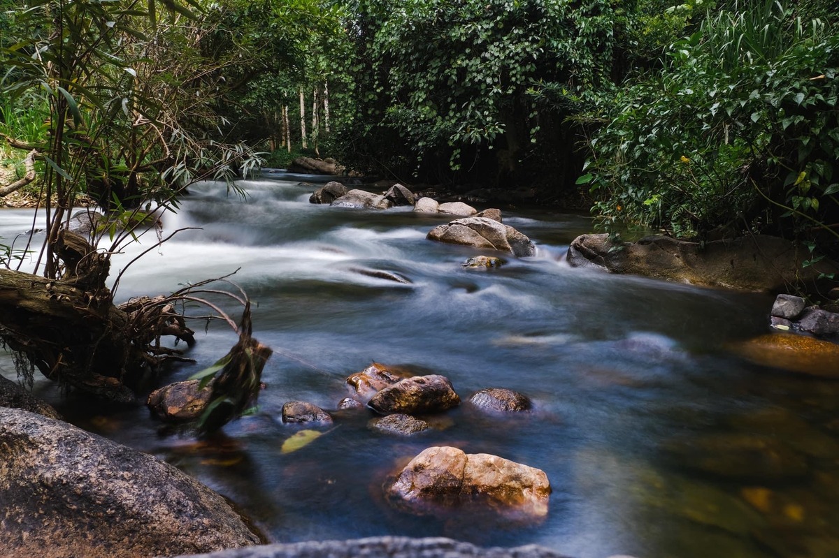 readme.me Thai tweet media