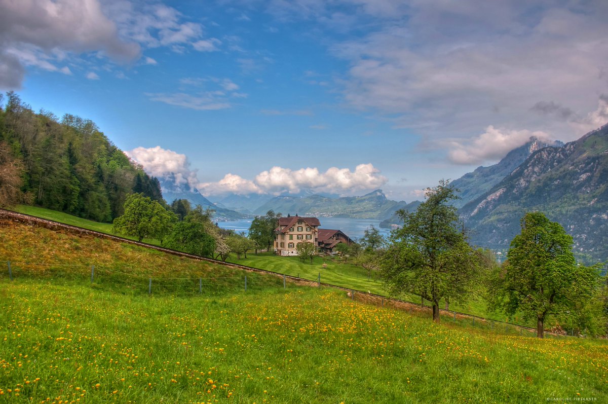 Juiz! Mein Nidwalden tweet media