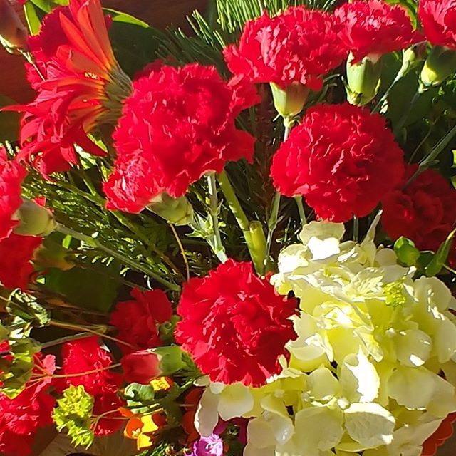 ruben_corella's tweet image. #felizdia #claveles #clavelesrojos #redflowers #fleurs #flores #gardens #jardines #jardin #jardineria #fleurs #rouge #redpower #redmood #GardeningTwitter