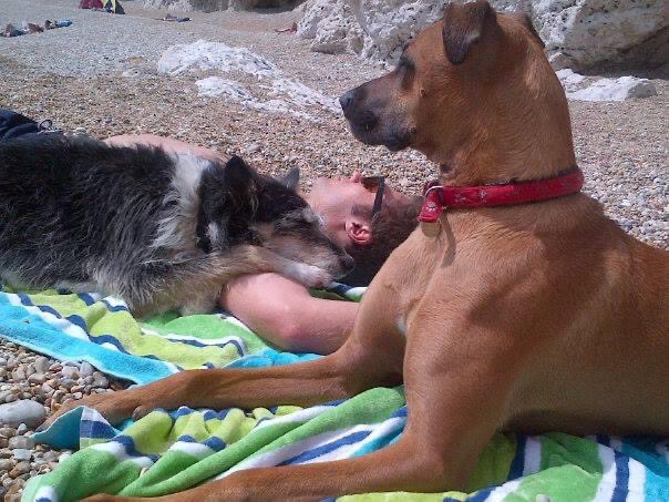 Julie Penny 🇺🇦 tweet media