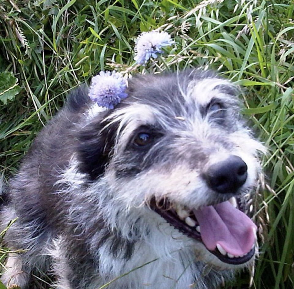 Julie Penny 🇺🇦 tweet media