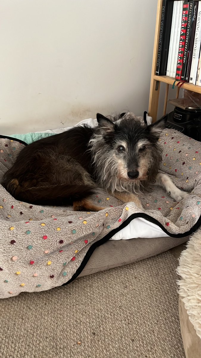 Julie Penny 🇺🇦 tweet media