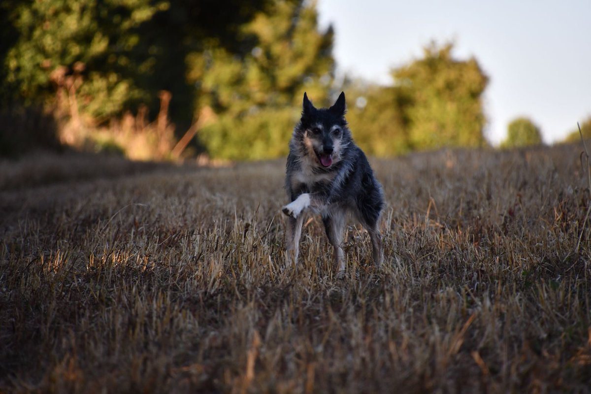 Julie Penny 🇺🇦 tweet media