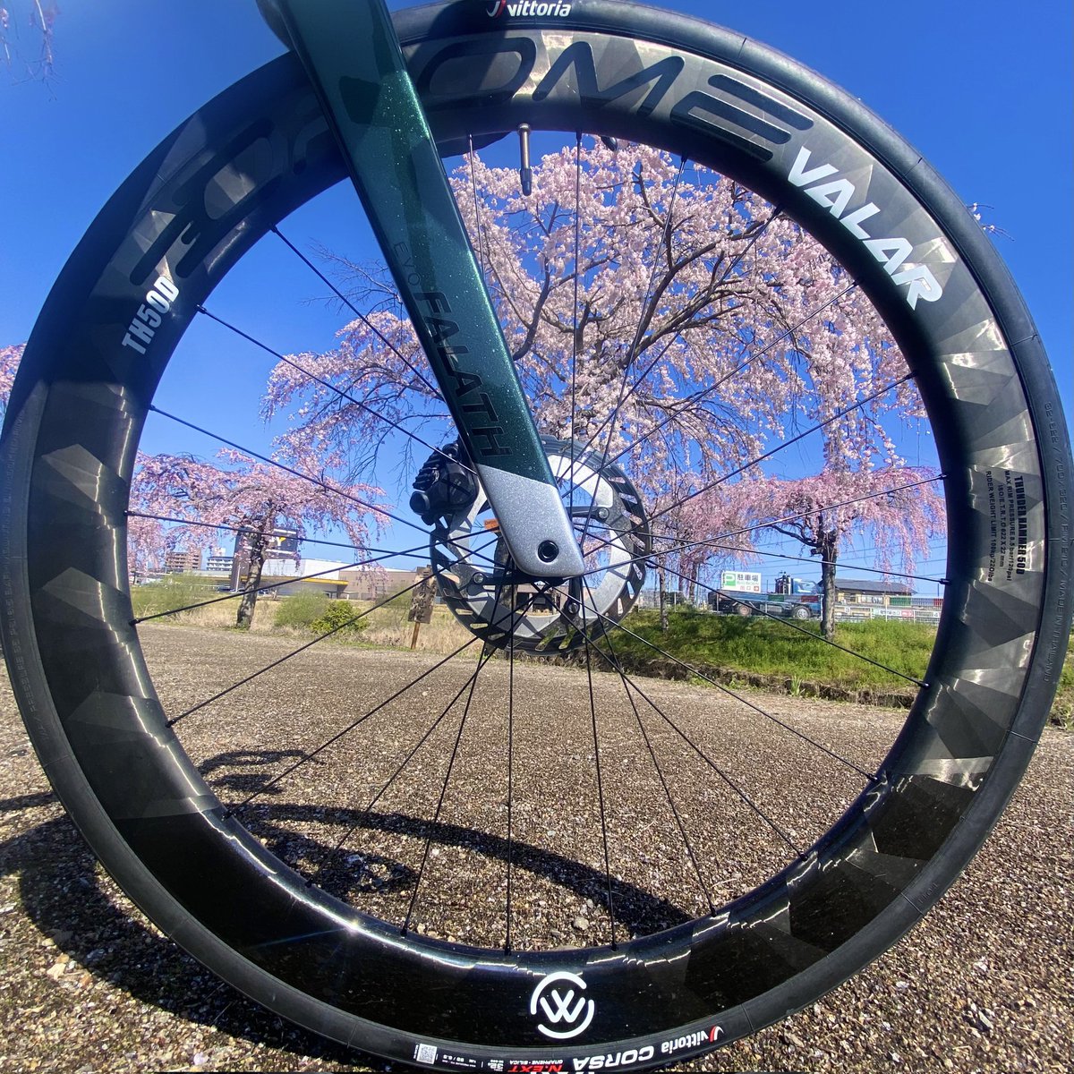フルオーダー OROME VALAR TH50D カーボン ディスク ホイールセット
