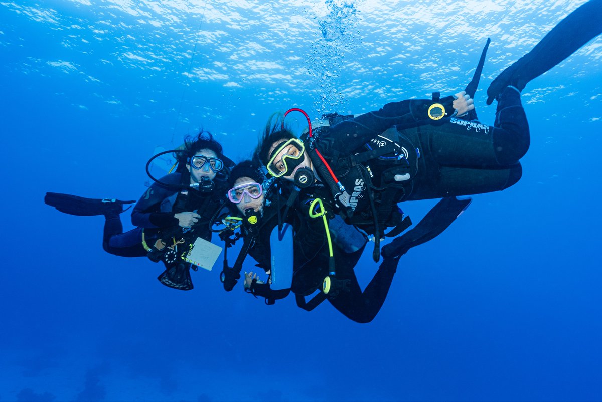 👧🏽🤿💦Girls who scuba dive are fierce! 💪Join the dive squad 🌊🐠🤿 and explore the #underwater wonders! 💕🧜‍♀️🤿🌊🐬#ScubaGirls #UnderTheSea #GirlsWhoDive #OceanAdventures #ScubaDivingFun 🤿🌊🐡👏 #DiveIn #ExploreTheOcean #oceans #scubatourism #buceo @PADI #scuba #womeninscience