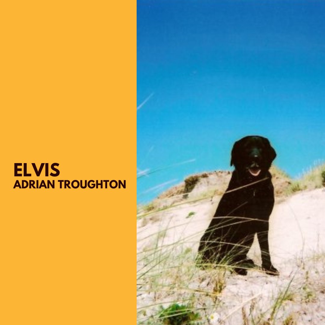 Happy National Pet Day! We’re proud to celebrate our furry friends who bring so much joy and love into our lives 🐾❤️ #LibertyPR #NationalPetDay #FurryFriends