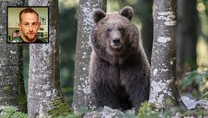 Parola d'ordine: Vendetta!
➡️veganzetta.org/parola-dordine…
#Orso #Trentino #Fugatti #AnimalRights #rifiuti <a href="/LegaSalvini/">Lega</a>