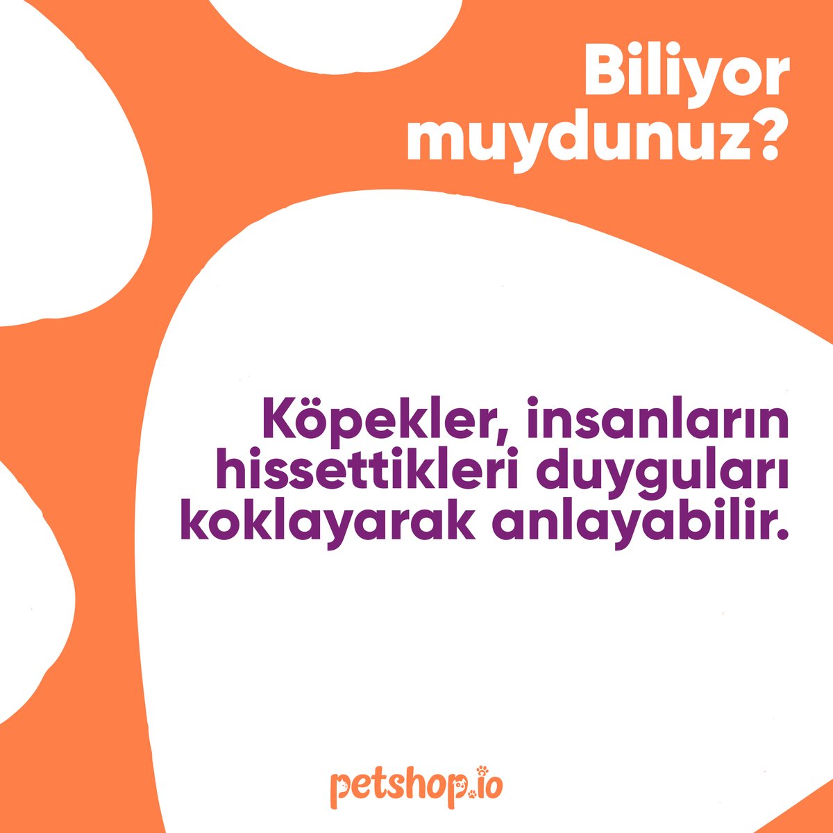🐾 PetBilgiler:

👃Köpekler, insanların hissetikleri duyguları koklayarak anlayabilir.