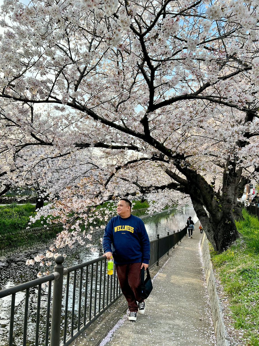 jcbagio's tweet photo. 🌸🌸🌸 https://t.co/0GUKoZsnSr