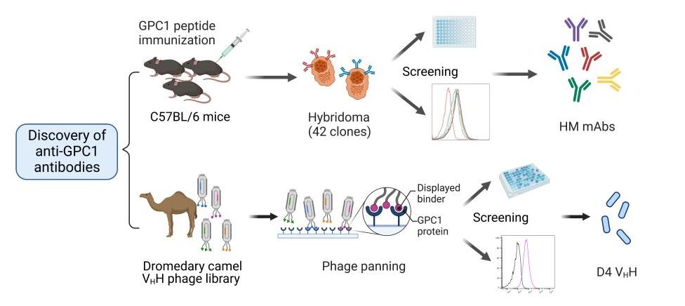 Nature Communications tweet media