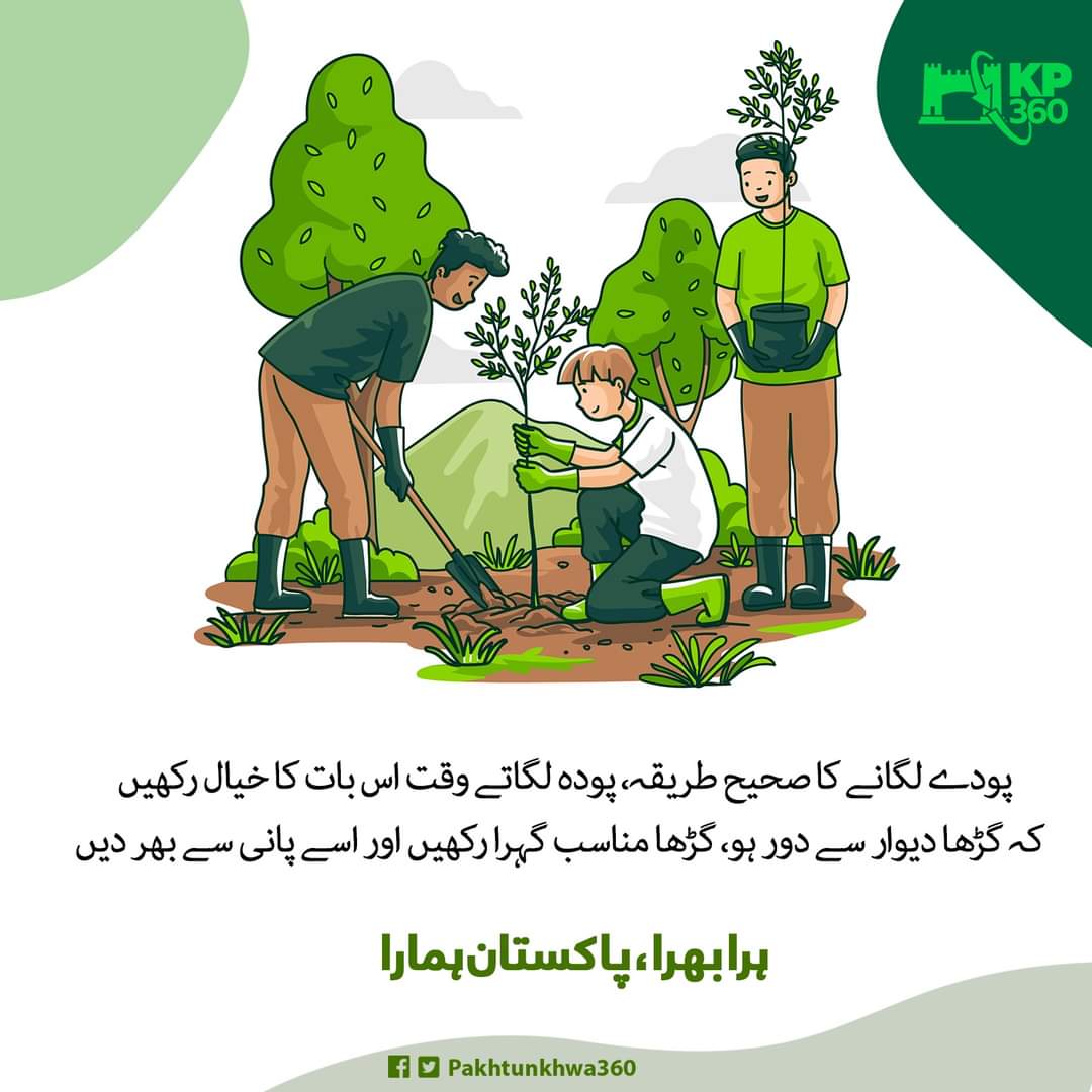 educators99's tweet image. Let's learn the right way of planting trees !!!
#HaraBharaPakistanHamara