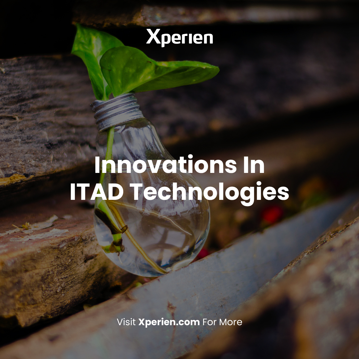 Xperien's tweet photo. ITAD innovations can promote sustainability &amp; the adoption of the circular economy in the electronics industry.

Staying at the forefront of technology is key to ensuring environmentally friendly &amp; secure electronic equipment disposal 🌍️♥️ https://t.co/eYpuz0losz