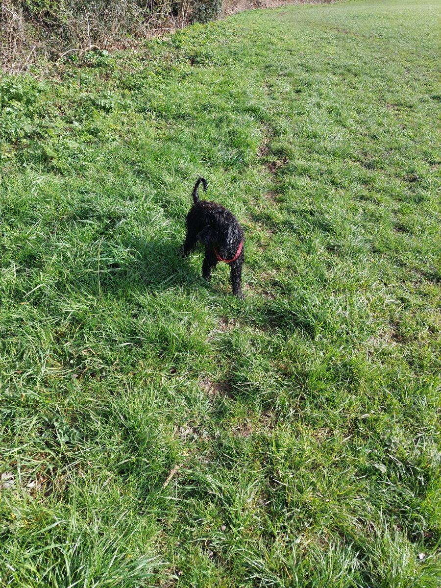 Out with my buddy #dayoff