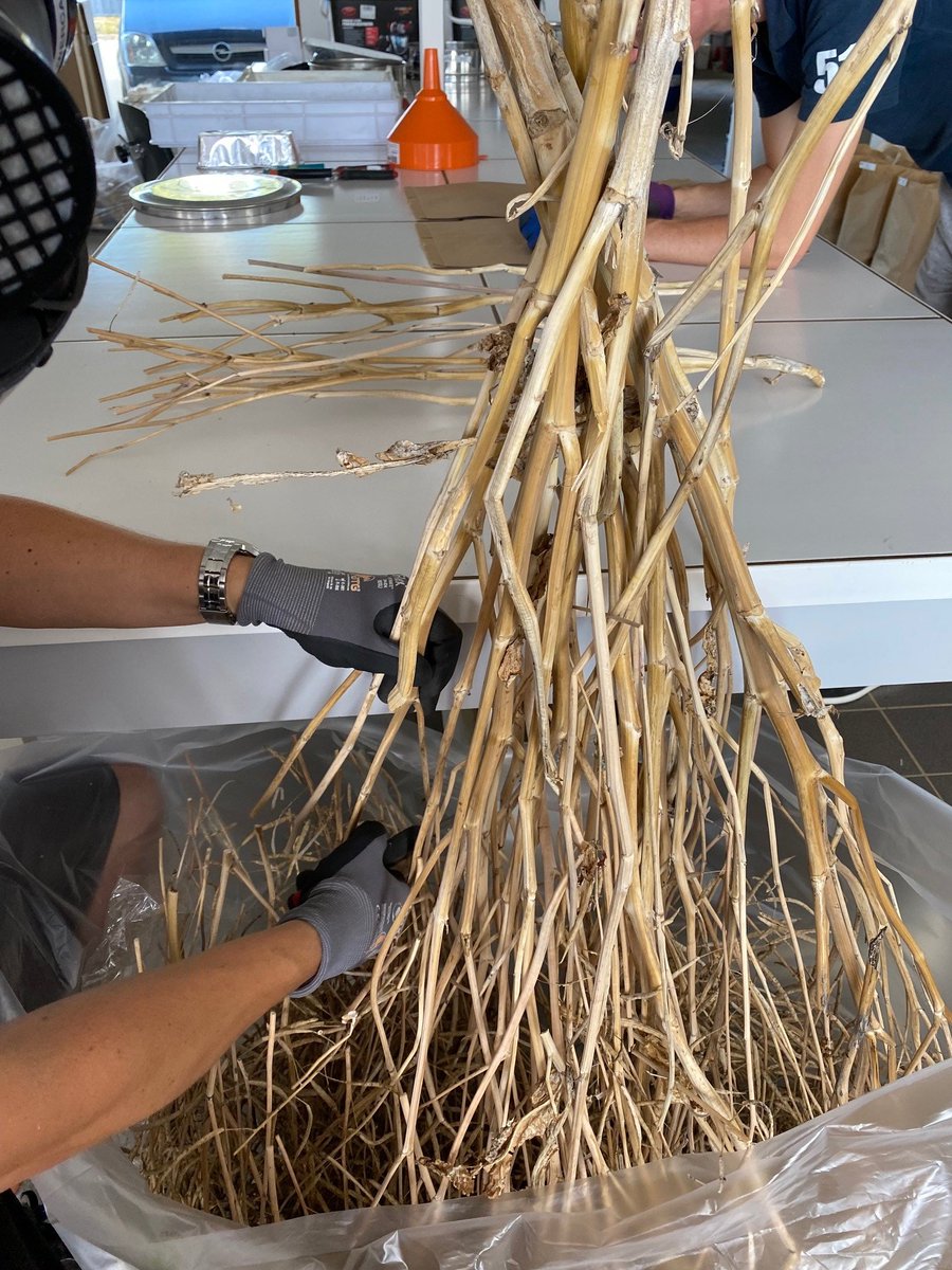 INRAE_HdF's tweet photo. A vos candidatures ! ✍️Nous cherchons un Technicien-ne en préparation d’échantillons #sols #végétaux 2 mois à partir du 1er juin sur l'observatoire de recherche en environnement #OREACBB Niveau CAP/BEP #EstréesMons #BioEcoAgro https://t.co/wKSq7EqHJF https://t.co/UeFnEdg1cK