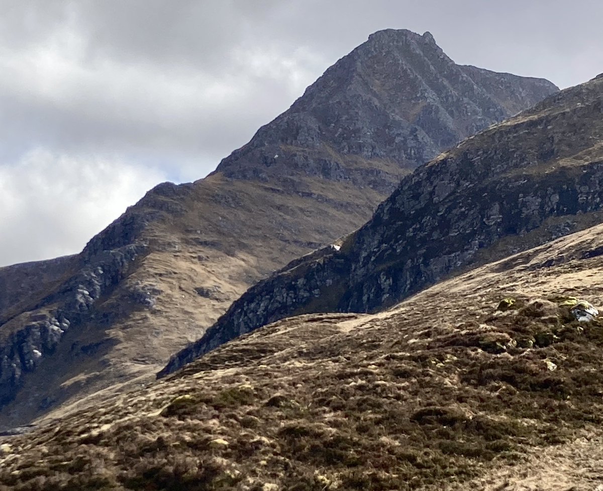 John King tweet media