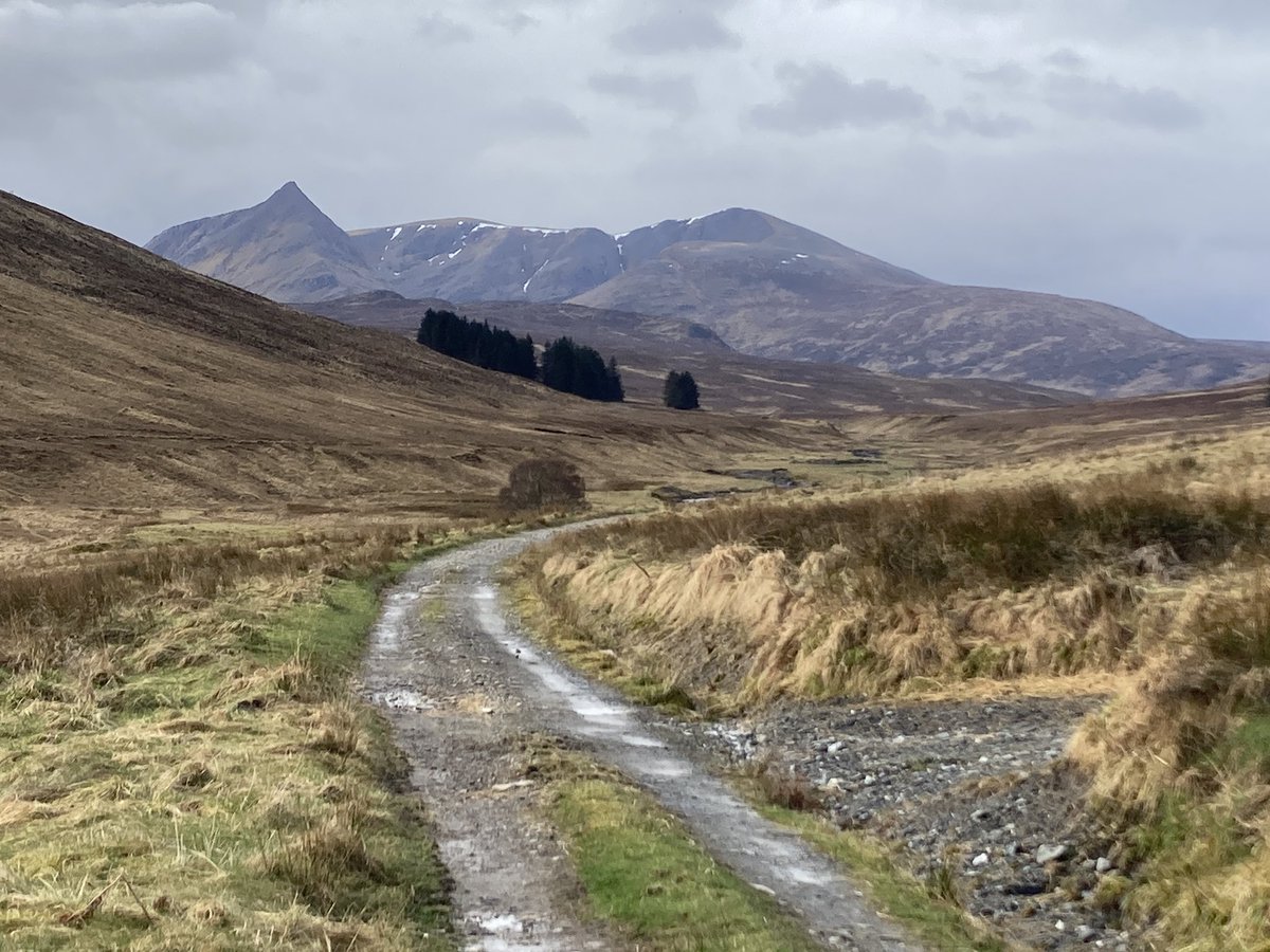 John King tweet media