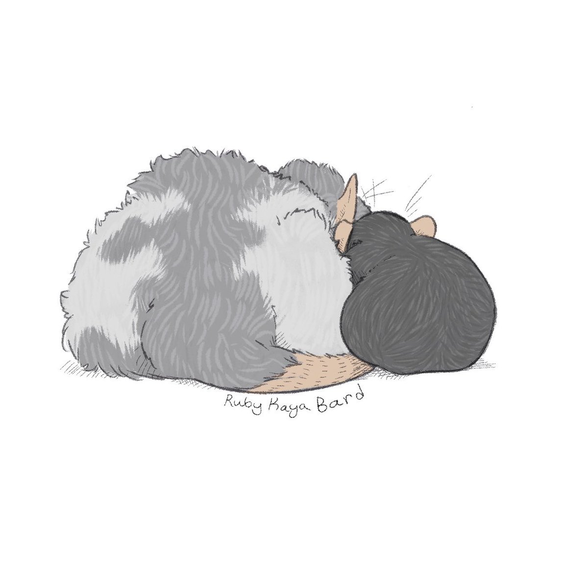 Dubers151's tweet photo. @murdermuffin666 Some art of my rats 🥰 https://t.co/BNwDkmdkFm