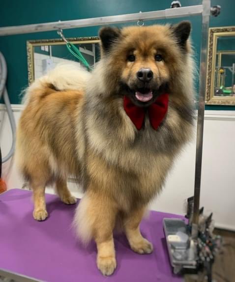 Dale Stafford tweet media