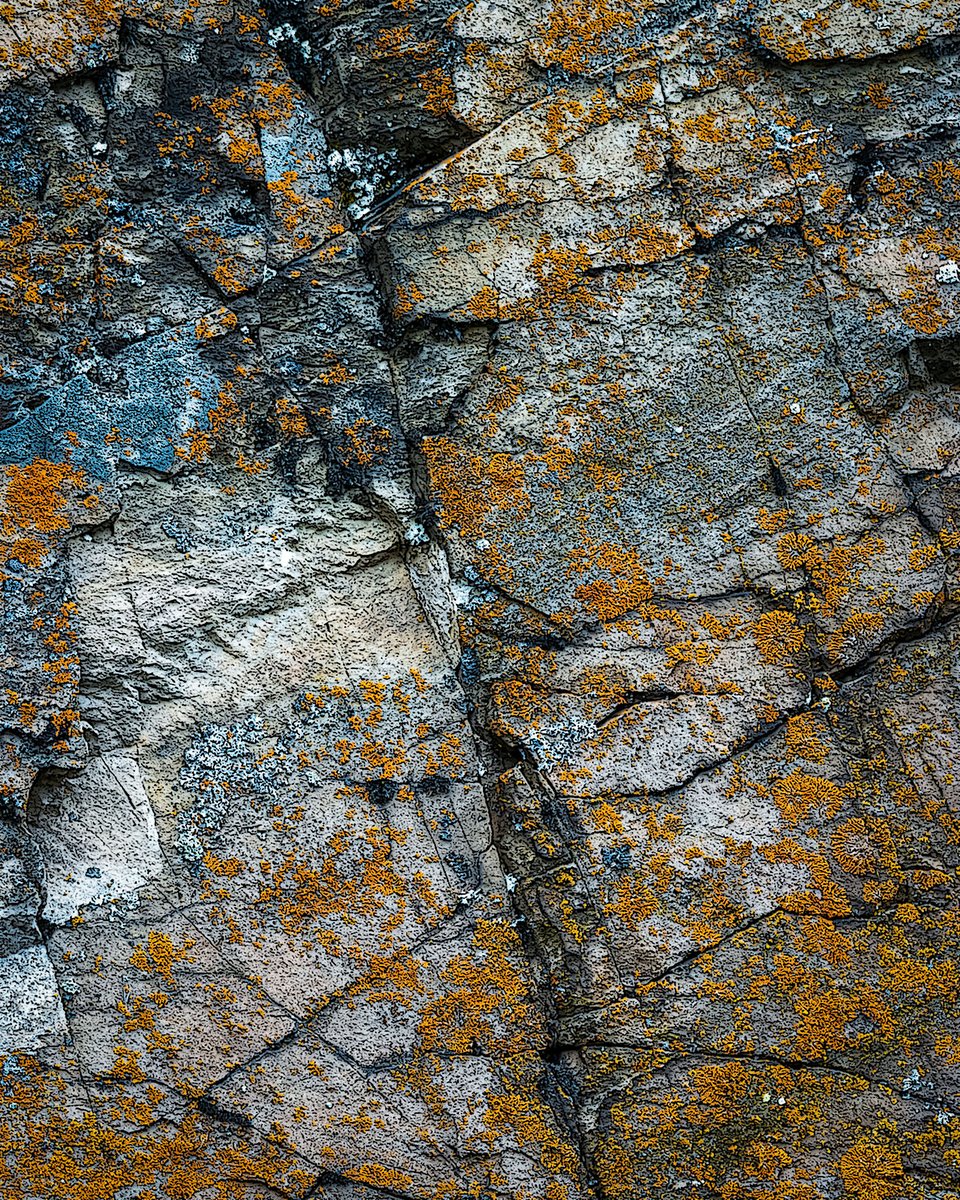 Rocky start to your week? This stony part of the natural world covered in #lichen should remind you of the beauty all around and the time it has been extant. Take time for closer looks knowing a difficult day is just a blip on the geological scale.