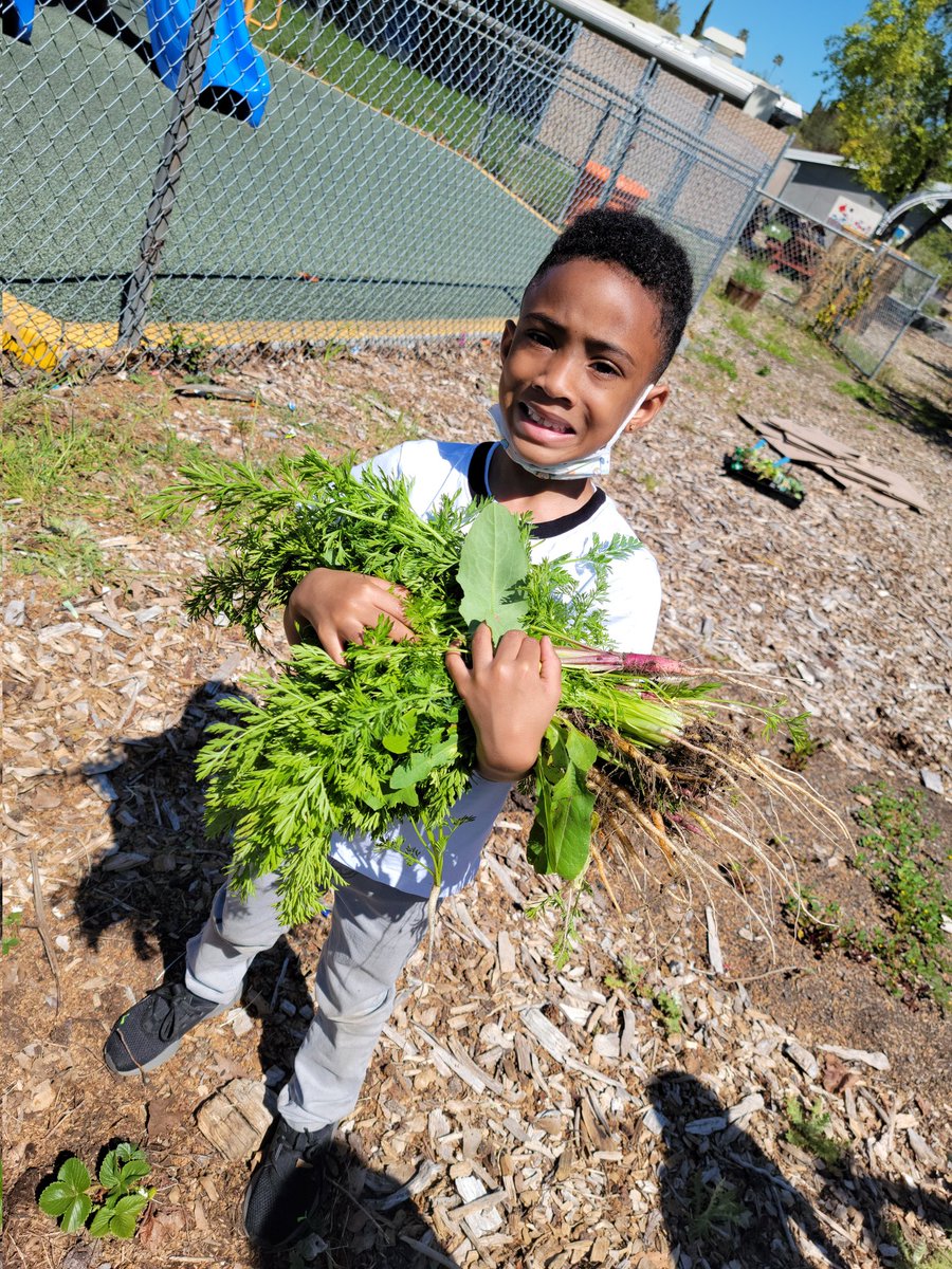 SunTerraceASP tweet media