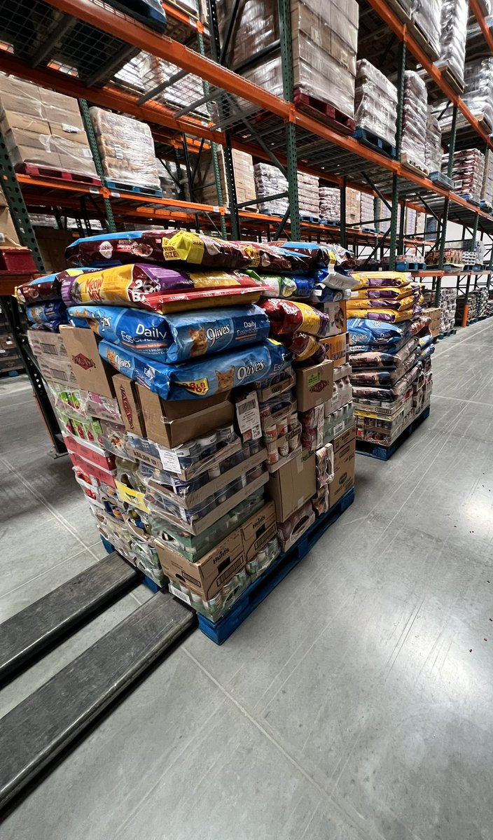 whoknows tweet media