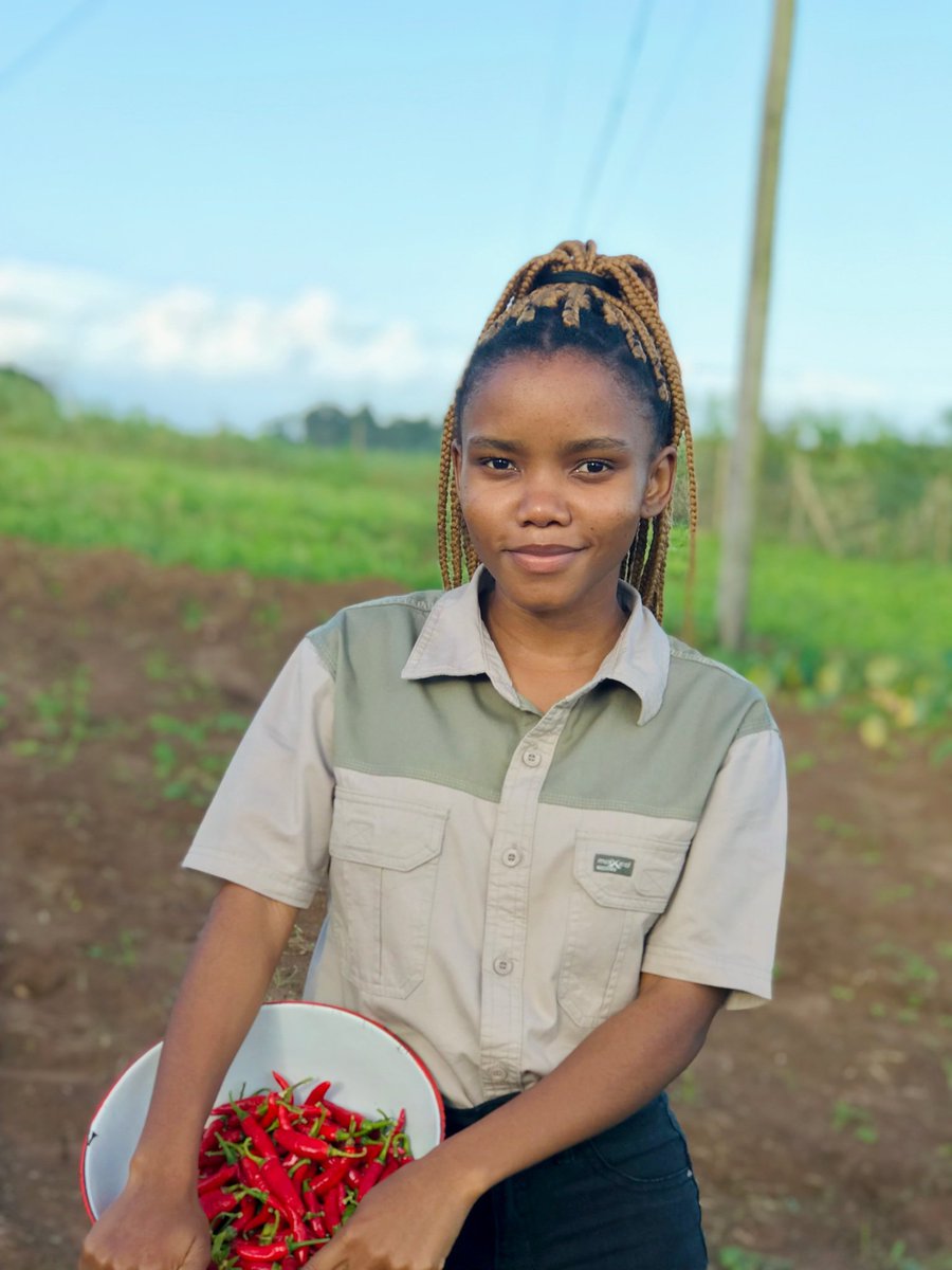 If one day you will do farming, just like and retweet.