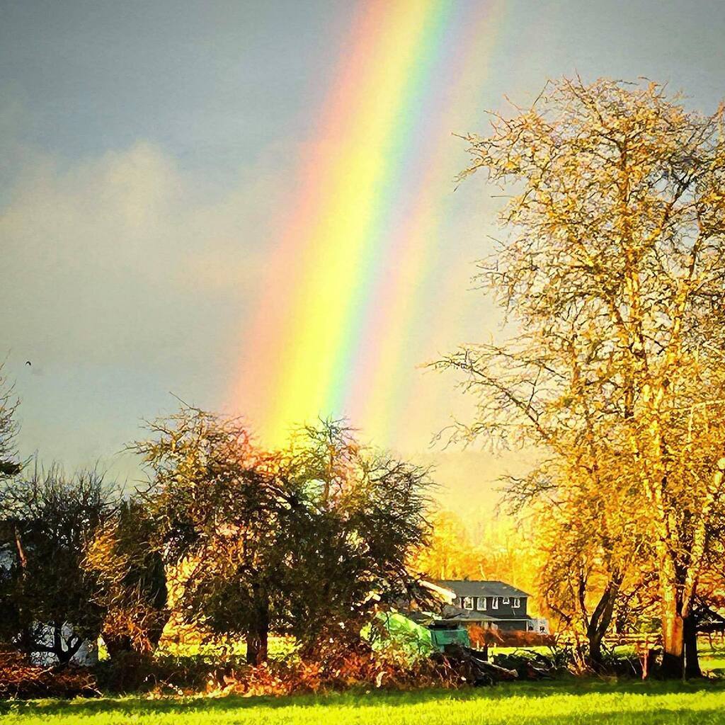 MatthewLaity's tweet photo. One of our neighbours snagged some great pictures of the rainbow over the farm last evening. 

Looking forward to some spring weather after all the rain and cool weather.

#rainbow https://t.co/9SMTtlVIgd https://t.co/D3FexnBMJL