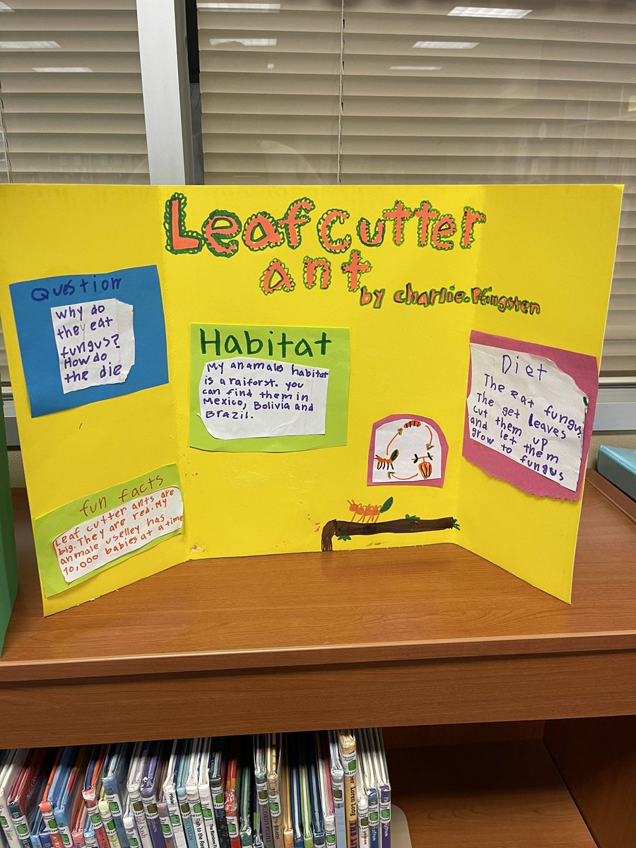 HallieTrexler's tweet photo. My students finished their animal research boards and put them on display in the library. They had so much fun learning about different animals! #ChooseLP #AdventureAwaits https://t.co/536yzaaM98