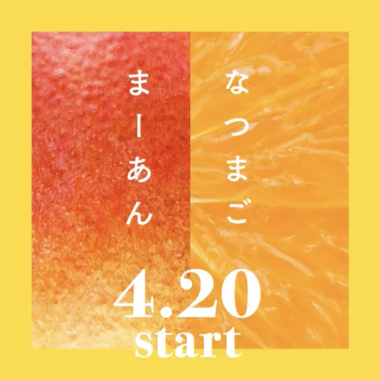torin___torin's tweet photo. @gongcha_japan マンゴーだいすき🥭

#ゴンチャの新作 https://t.co/jffLLmk7Br