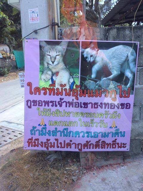 awwwfluffy's tweet photo. หรือกุจะต้อง...
#ตามหาจินจิ https://t.co/oOR0vxaqMq