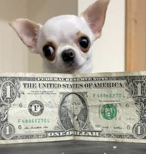 Pop Tingz on Twitter "Guinness World Records officially crowns two