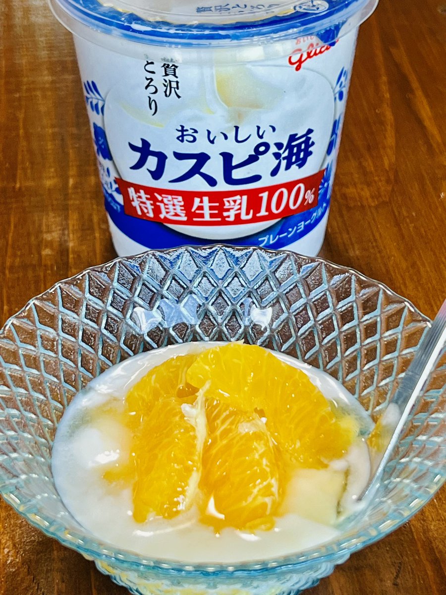 今日のﾖｰｸﾞﾙﾄ - Search / X