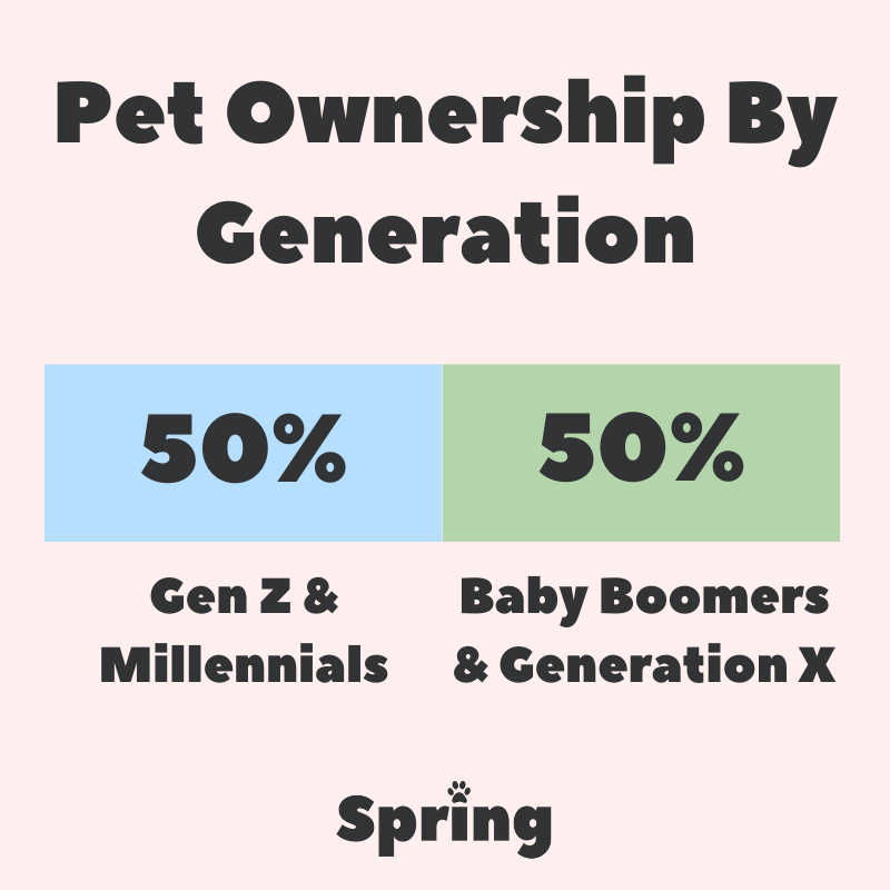 SpringPetsUK's tweet image. The Times, They Are a-Changin' 👇🏼