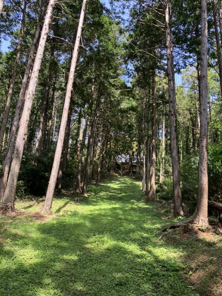 IkigaiTsurumi's tweet photo. 初夏の陽気で今日の富津ランニングは鴨川まで足を伸ばしてお気入りの場所に行ってきました。
最近食べ過ぎで太ったせいか体が重かったので疲れました😅
汗もかいたので早めにハイボール🍾飲んでしまおう(笑)
#富津市 #二拠点生活 #大山不動尊 #futtsu #japan #bosopeninsula #鴨川市 #横山神社 https://t.co/EDg91bkNCm