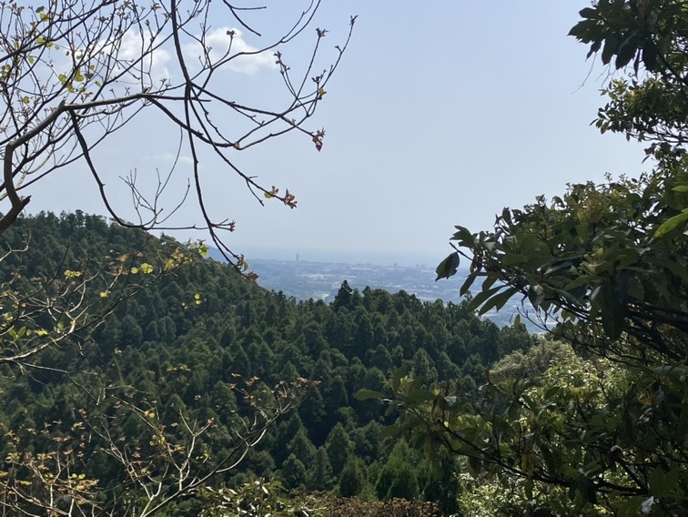 IkigaiTsurumi's tweet photo. 初夏の陽気で今日の富津ランニングは鴨川まで足を伸ばしてお気入りの場所に行ってきました。
最近食べ過ぎで太ったせいか体が重かったので疲れました😅
汗もかいたので早めにハイボール🍾飲んでしまおう(笑)
#富津市 #二拠点生活 #大山不動尊 #futtsu #japan #bosopeninsula #鴨川市 #横山神社 https://t.co/EDg91bkNCm