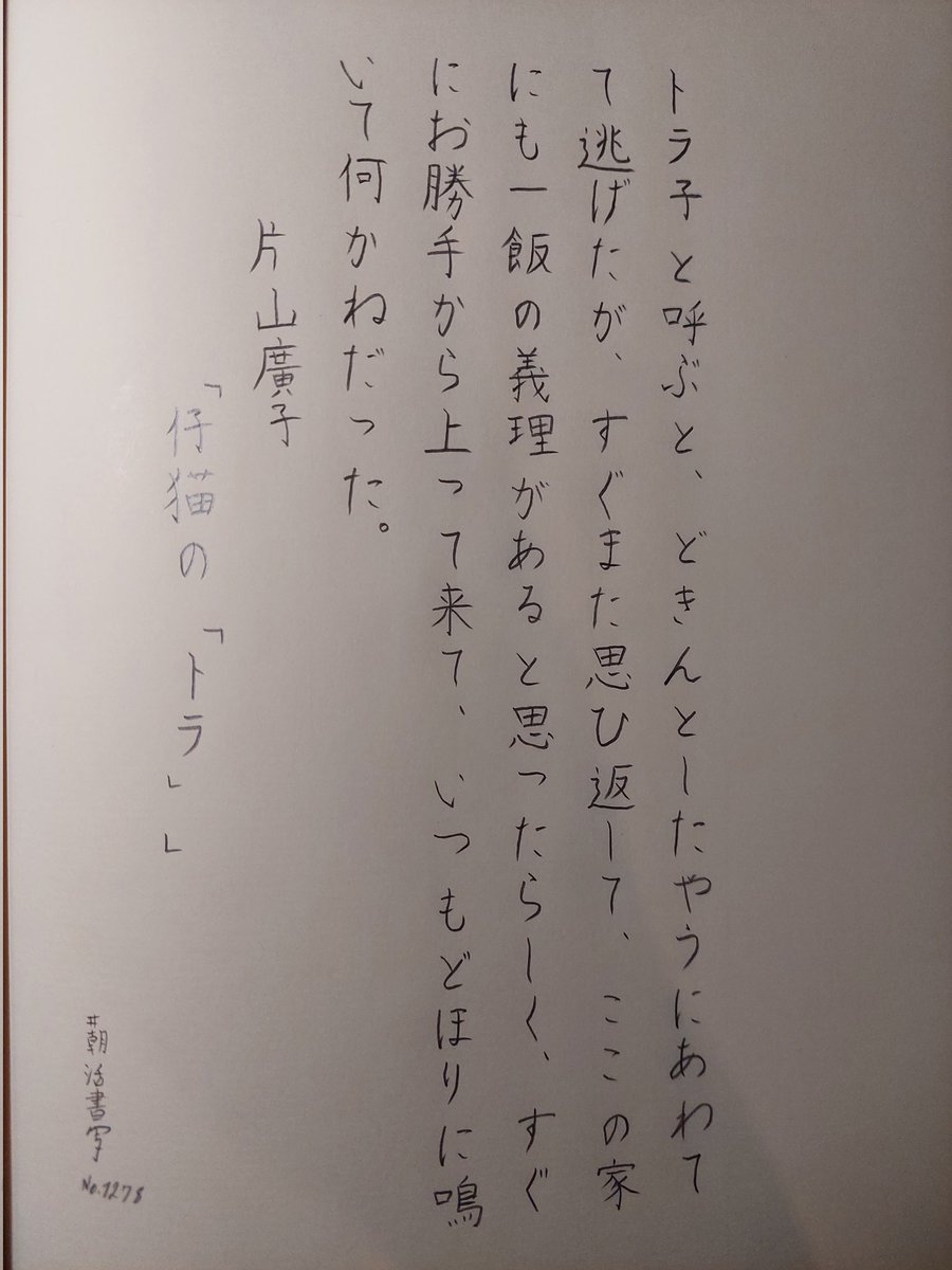 MecalcoPablo's tweet photo. #朝活書写 No. 1278
#朝活書写_1278 https://t.co/oE83kBHwb4