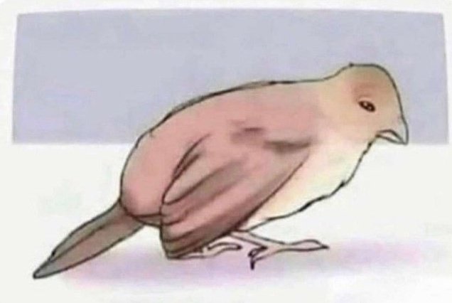 _realprince__r's tweet photo. Never trust anyone,turn this picture upside down🥺😂😂 https://t.co/JmySazOE1t