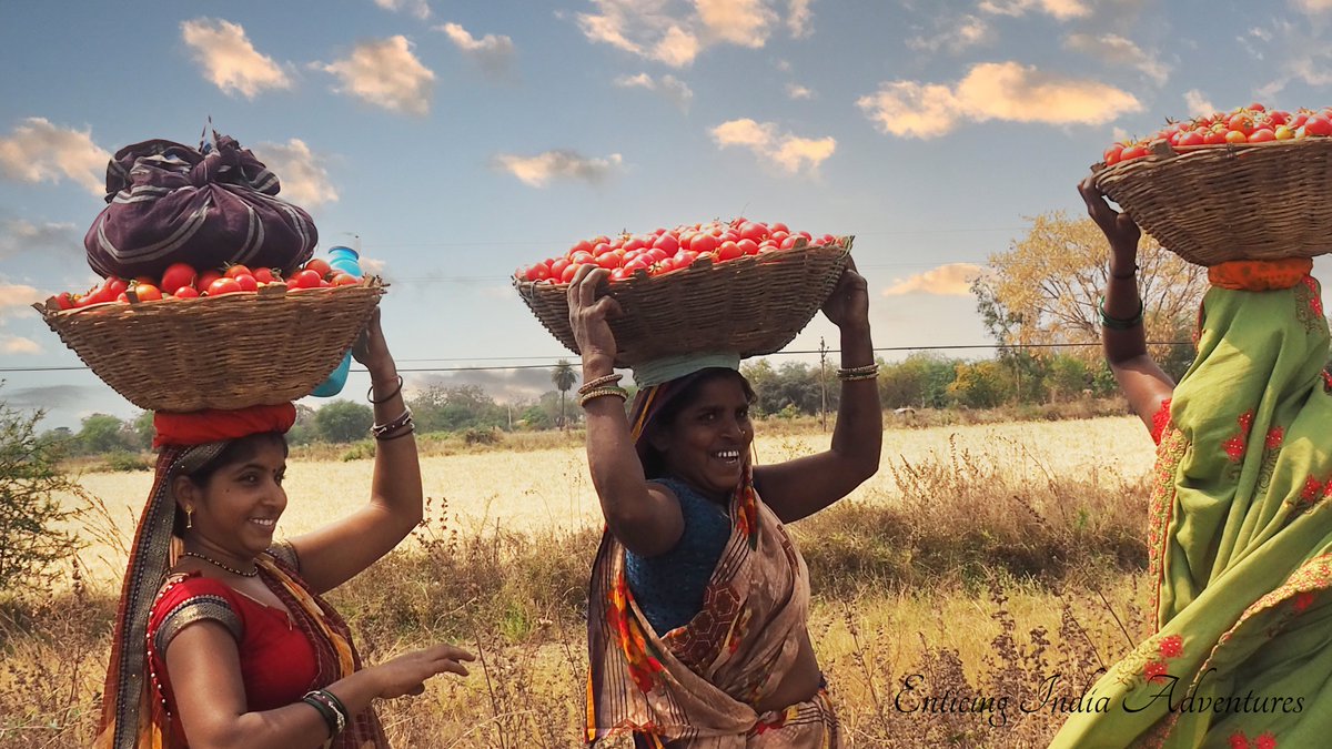 makeitminenow's tweet photo. You don't see this on big tours - these ladies were absolute favourites with these smiles.  #travelwithus #enticingindia #incredibleindia #travellersdream #amazingdestinations #india #enticingjourney #seeitwithus #joinusinindia #incredibleexperience #bespoketours https://t.co/VzMGGsT9Bu