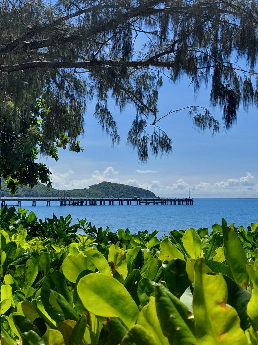 Peaceful day 🫶🏻
#picoftheday #perfectview #palmcove #australia #cairns