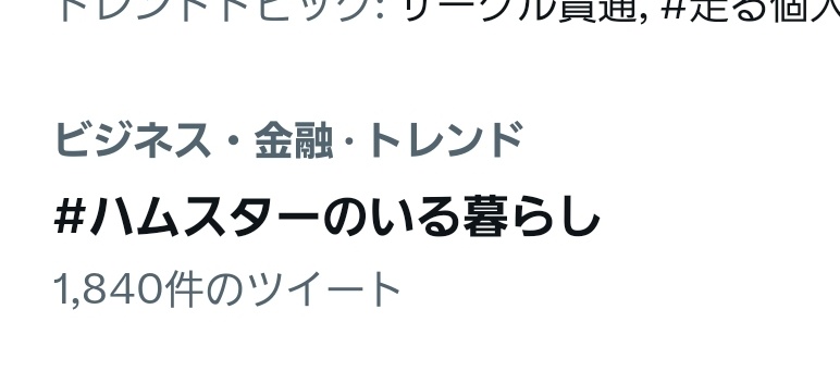 ビジネス金融枠でハムスターのいる暮らしなのか？がトレンドで見かける最近の悩みの一つです。
ホントまた飼おうか真剣に考えてる🐹