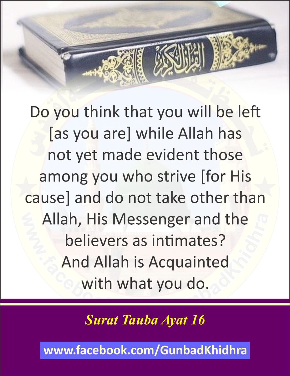 Do you think you will be left (as you are) while Allah has not yet made evident those among you who strive [for His cause] and do not take other than Allah, His messenger and the believers as intimates? And Allah is acquainted with what you do.
Surat Tauba Ayat 16