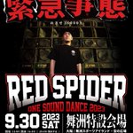 Photo by Redspider_info (@redspiderinfo)