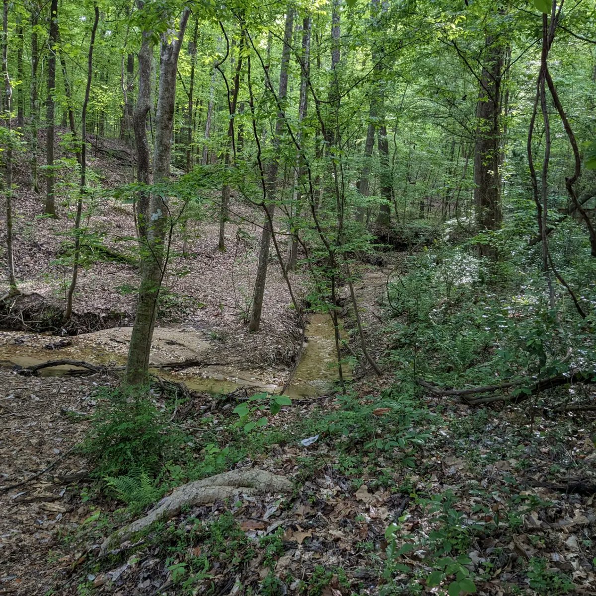 Dan Burt tweet media