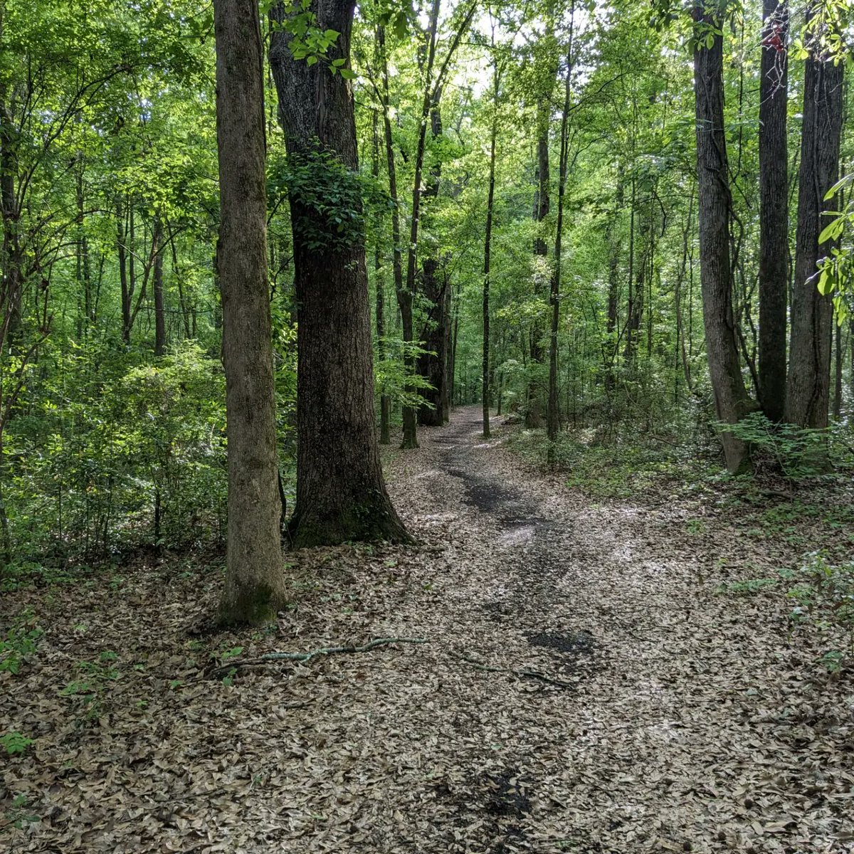 Dan Burt tweet media