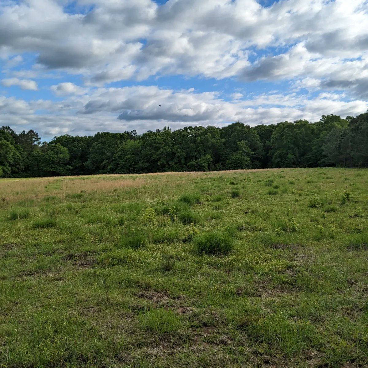 Dan Burt tweet media