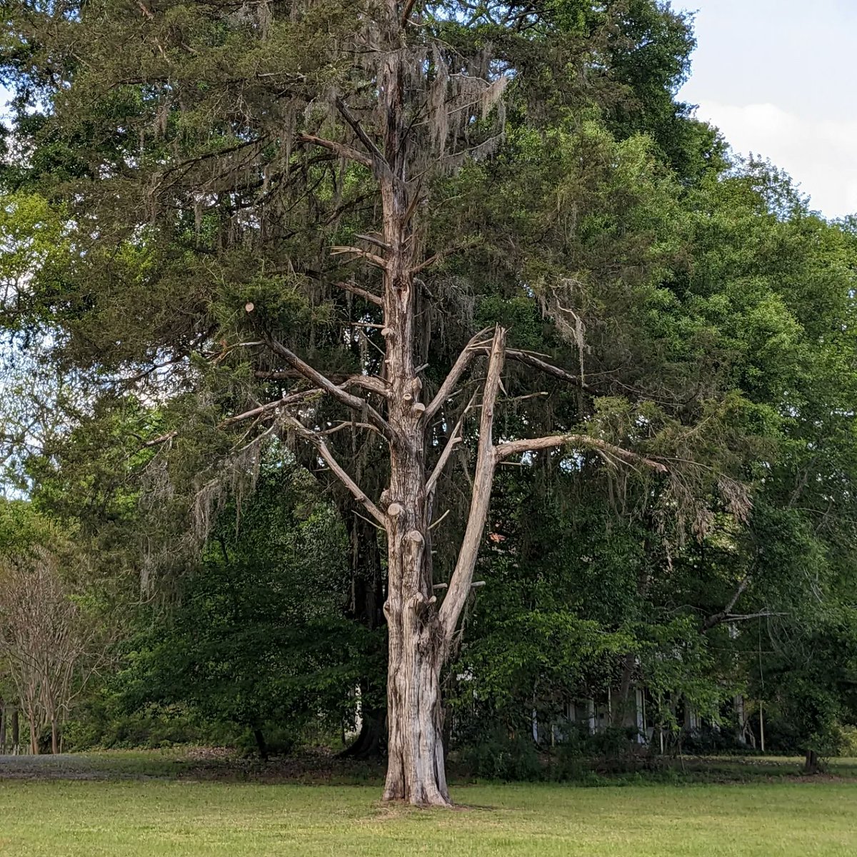 Dan Burt tweet media